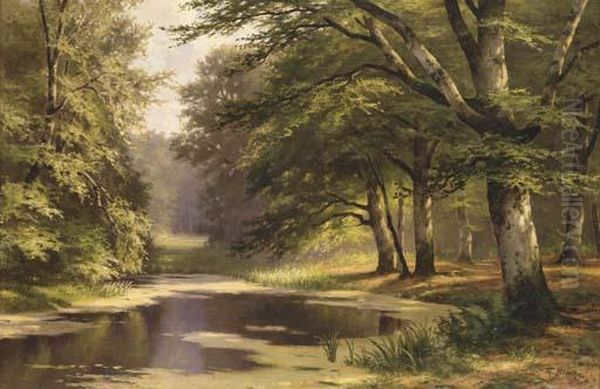 Forest Scene - view 1