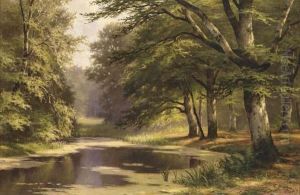 Forest Scene