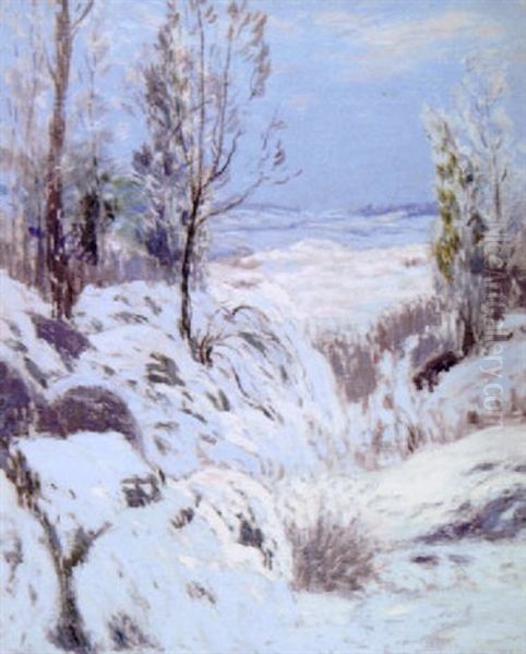 Landscape In Winter - view 1