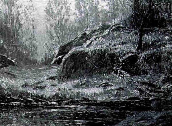 Forest Interior - view 1