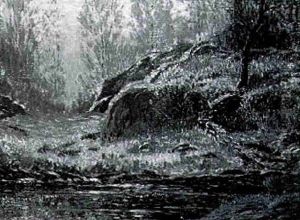 Forest Interior Forest Interior