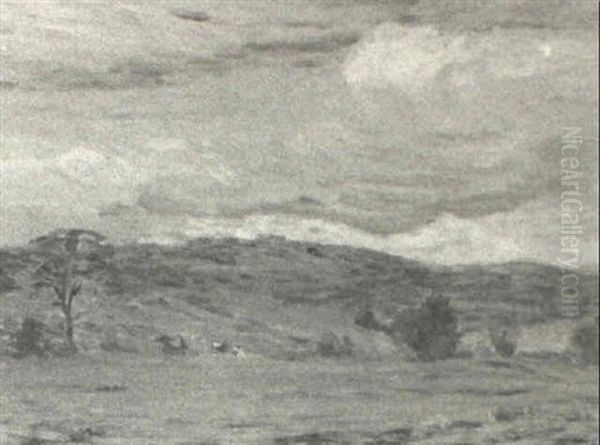 Landscape - view 1