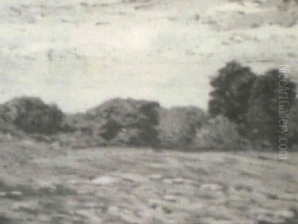Summer Landscape - view 1