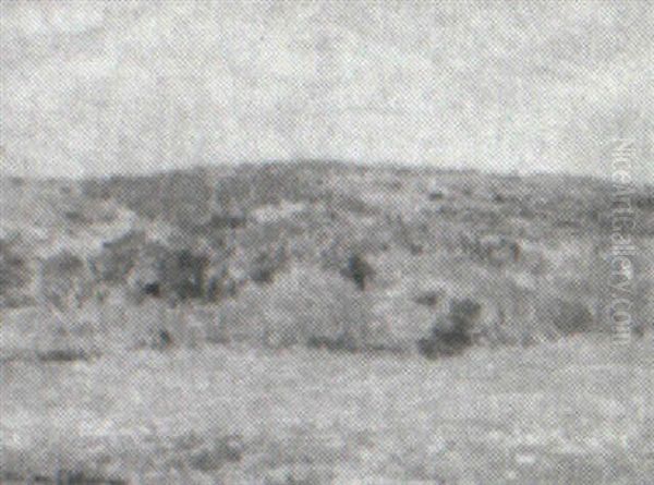 Summer Landscape - view 1