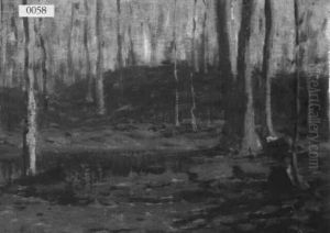 Bearch Forest Bearch Forest
