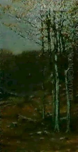 Fall Forest Scene - view 1