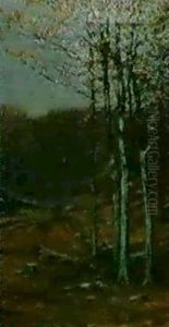 Fall Forest Scene Fall Forest Scene