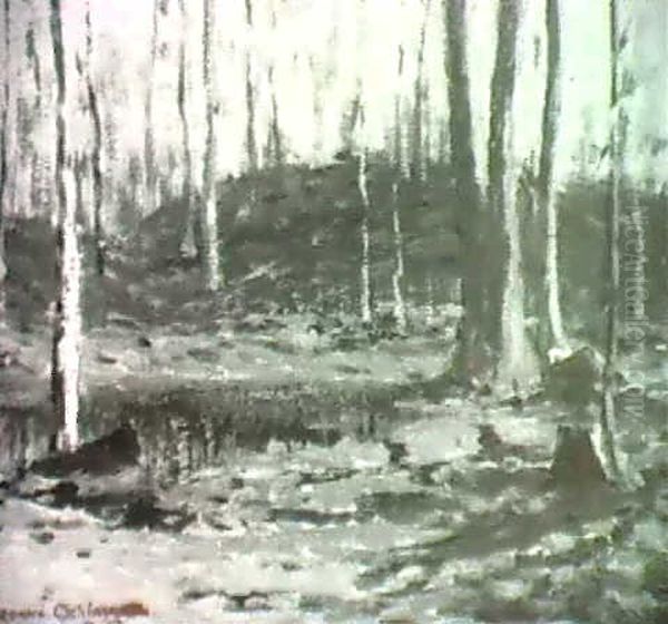 "forest Deep" - view 1