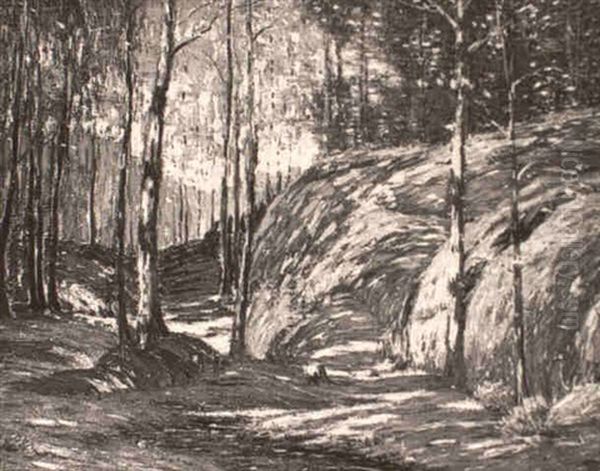 A Shady Trail At Grayledge - view 1
