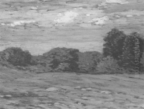 Summer Clouds - view 1