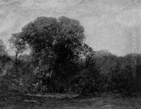 Summer Scene - view 1