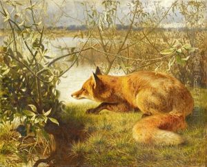 Fuchs Auf Der Lauer by Eduard Ockel