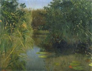 Partie Aus Dem Kremmener Luch by Eduard Ockel