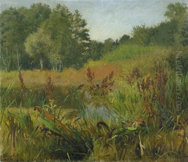 Sommerliche Landschaft Bei Kremmen - view 1