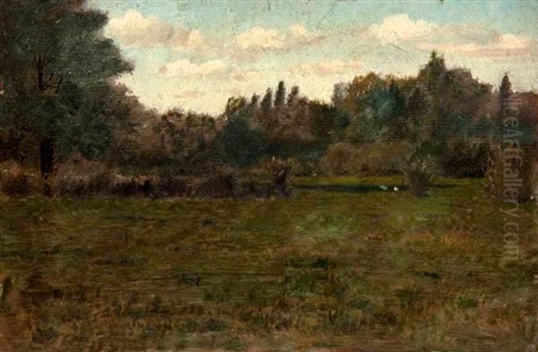 Landschaft - view 1