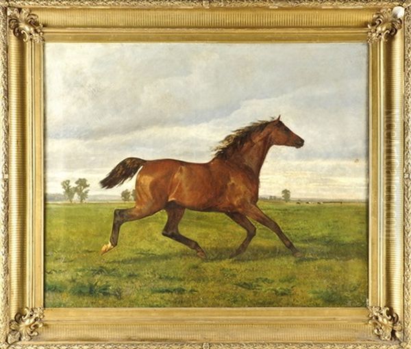 Trabendes Pferd - view 1