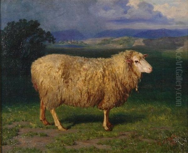 Portrat Eines Schafes Vor Weiter Landschaft - view 1