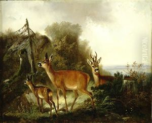 Rotwild Auf Einer Waldlichtung, Im Hintergrund Weite Ebene Landschaft