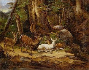 Hirsche Im Wald Hirsche Im Wald