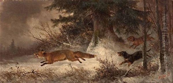 Jagdhunde Stellen Einen Fuchs - view 1