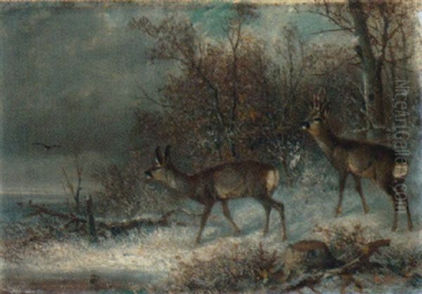 Waldrand Mit Rehwild Im Winter - view 1
