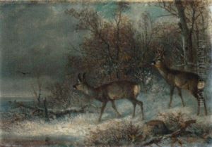 Waldrand Mit Rehwild Im Winter Waldrand Mit Rehwild Im Winter