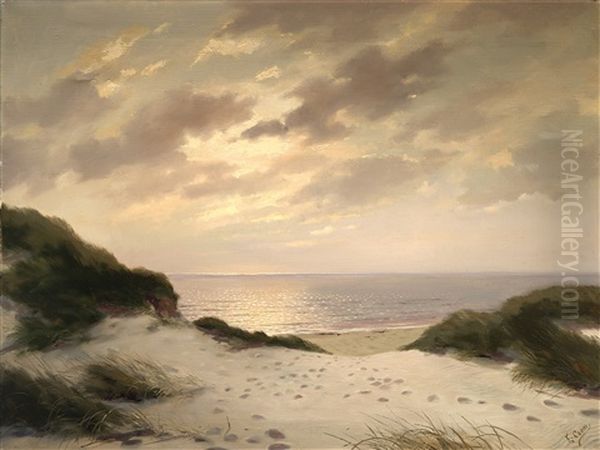 Dunas Al Atardecer - view 1