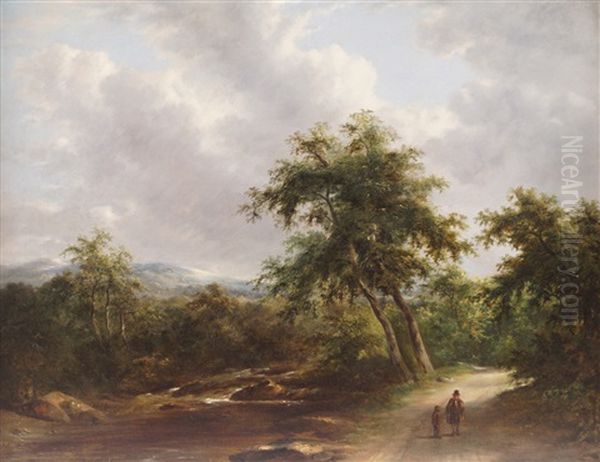 View On The Dargle, Co.wicklow, Ireland - view 1