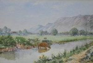 Highland Landscape With Cattle by Andrew Black