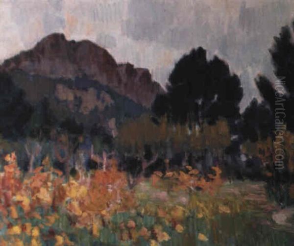 Orchard With Mountain - view 1