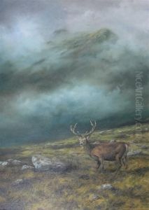 A Single Stag With A Peak Rising Above The Mist