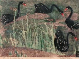Black Swans by Dorrit Black