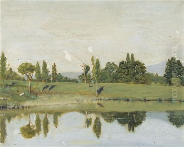 Sommerliche Uferpartie - view 1