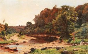 Baumbestandene Flusslandschaft Baumbestandene Flusslandschaft