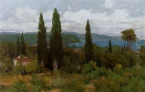 Cypres A Pardigon by Jacques Odier