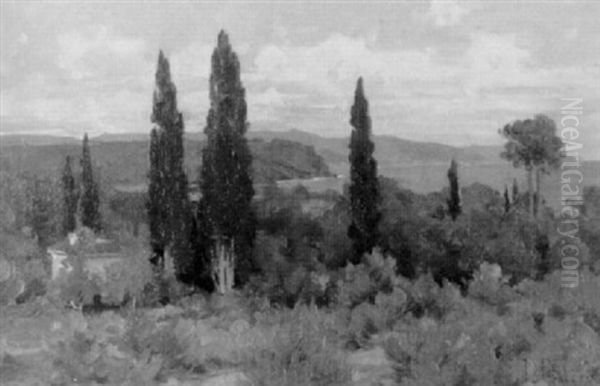 Cypres A Pardigon - view 1