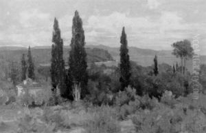 Cypres A Pardigon by Jacques Odier