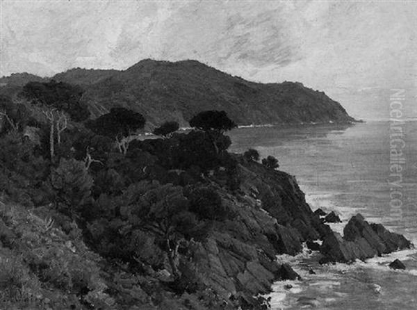 Landschaft Mit Klippen An Der Sudfranzosichen Kuste - view 1