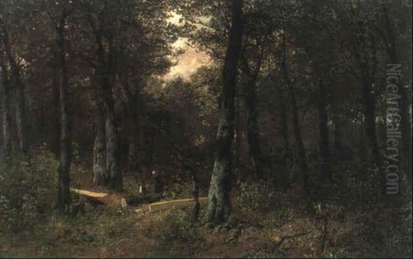 Waldlandschaft - view 1