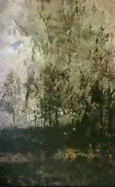 Am Waldrand - view 1