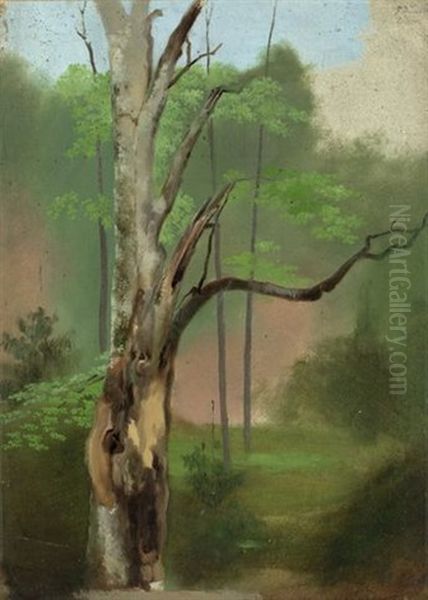 Baumstudie - view 1