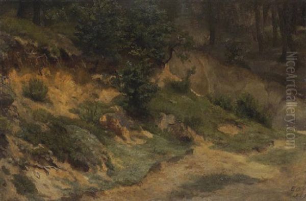 Waldinneres - view 1