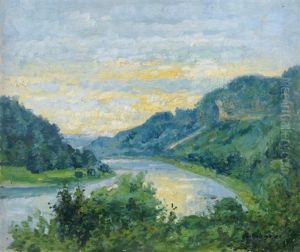 Blick Auf Elbe Bei Obervogelgesang
