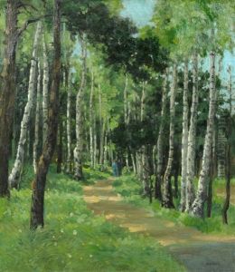 Spaziergang Im Birkenwald