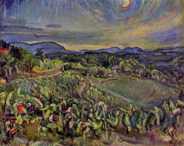 Landschaft Der Sudsteiermark - view 1