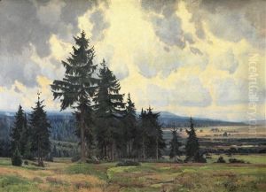 Hochmoor Im Isergebirge (gory Izerskie)