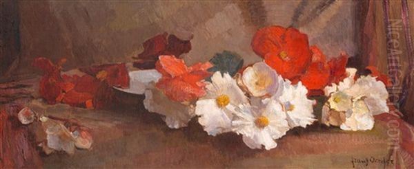 Iceland Poppies In A Flat Dish - view 1