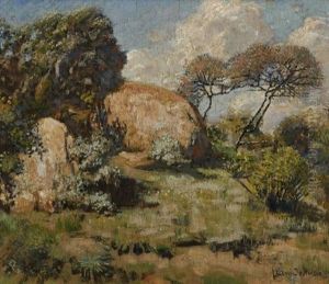 Landscape With Shrubs And Rocks