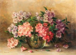 Rhododendrons