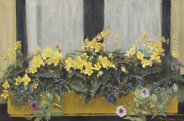 Flowers In A Window Box: Yellow Begonias, Forget-me-nots And Petunias - view 1
